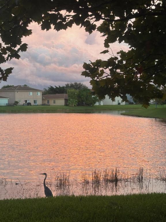 2544 SW Marshfield Court