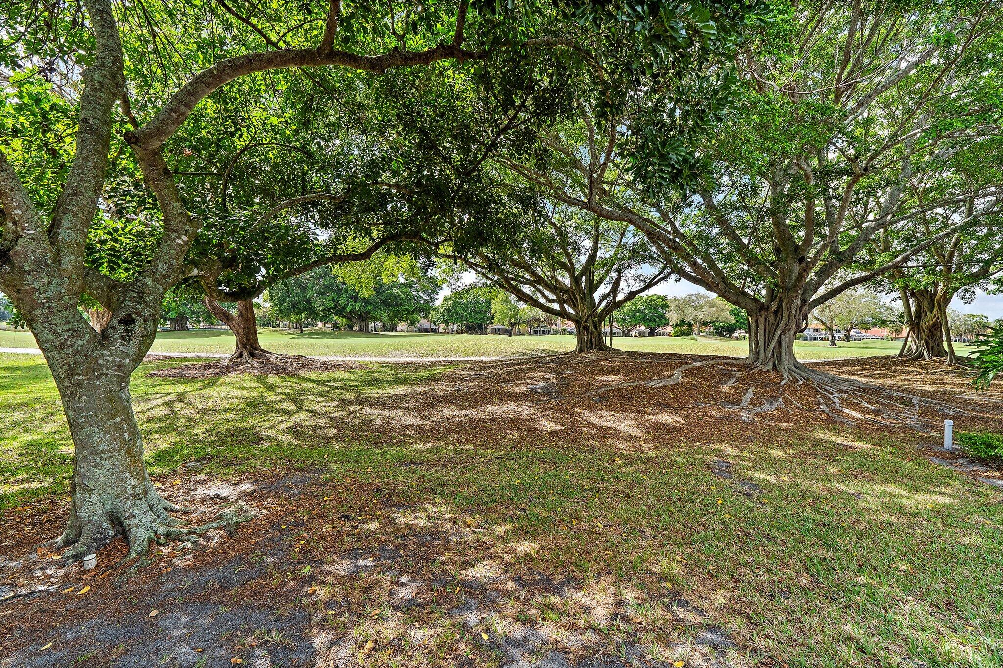 729 Windermere Way