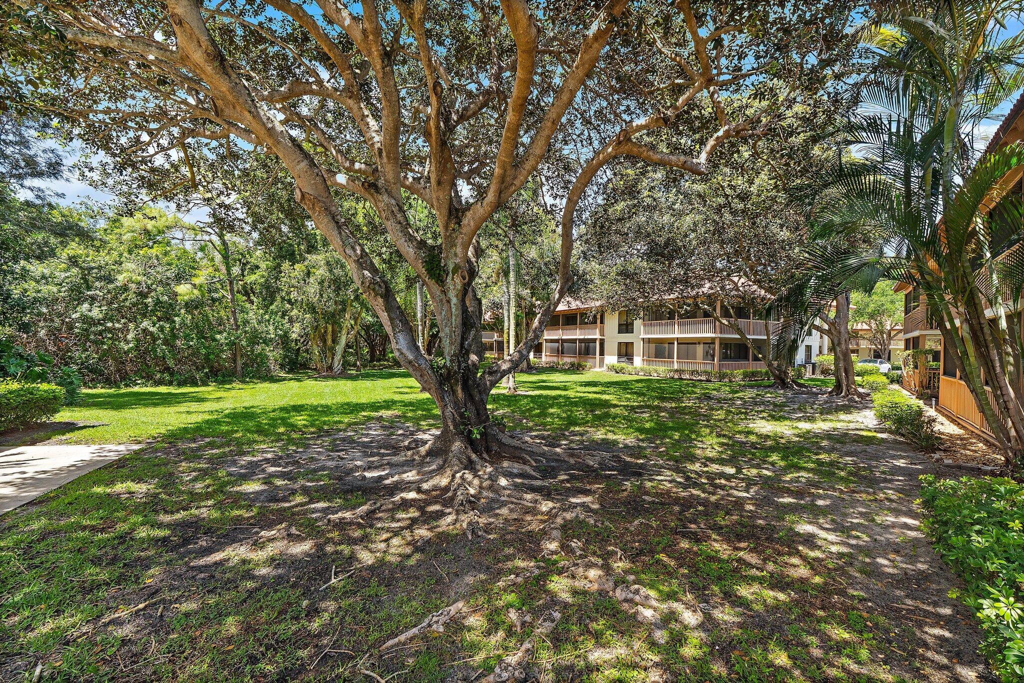 128 Brackenwood Road 128