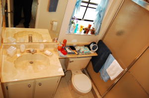 390 Prestwick Circle 1