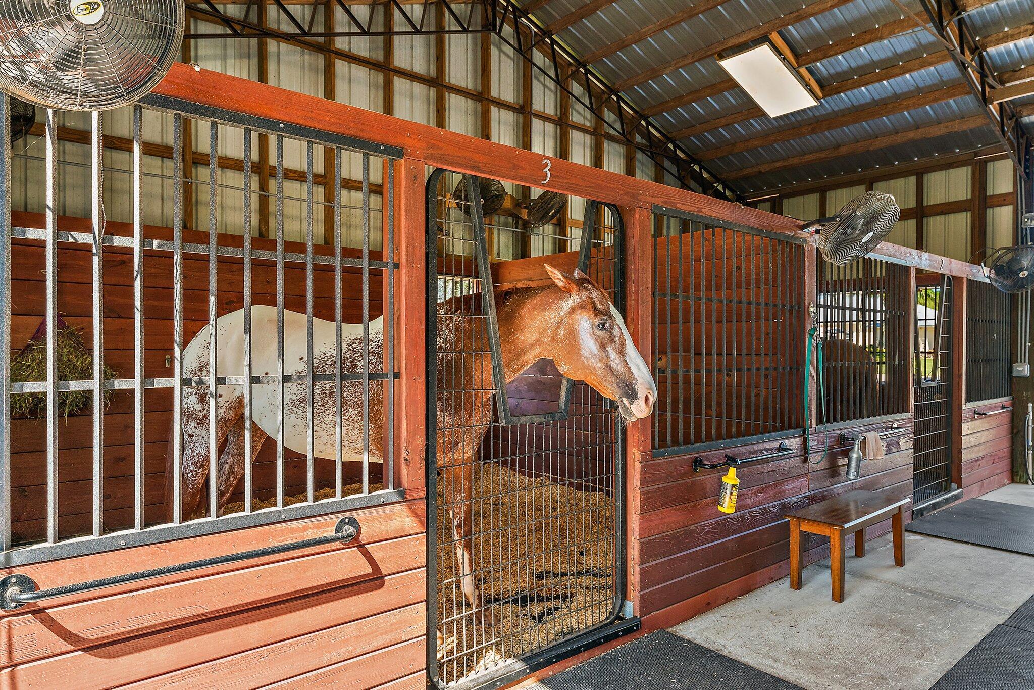 17593 Winterhawk Trail