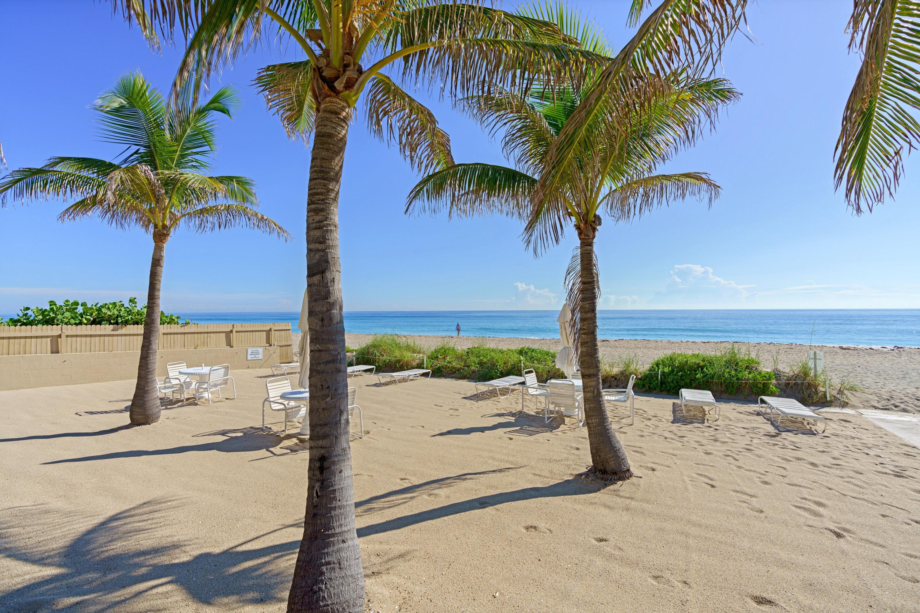 139 Sunrise Avenue 101