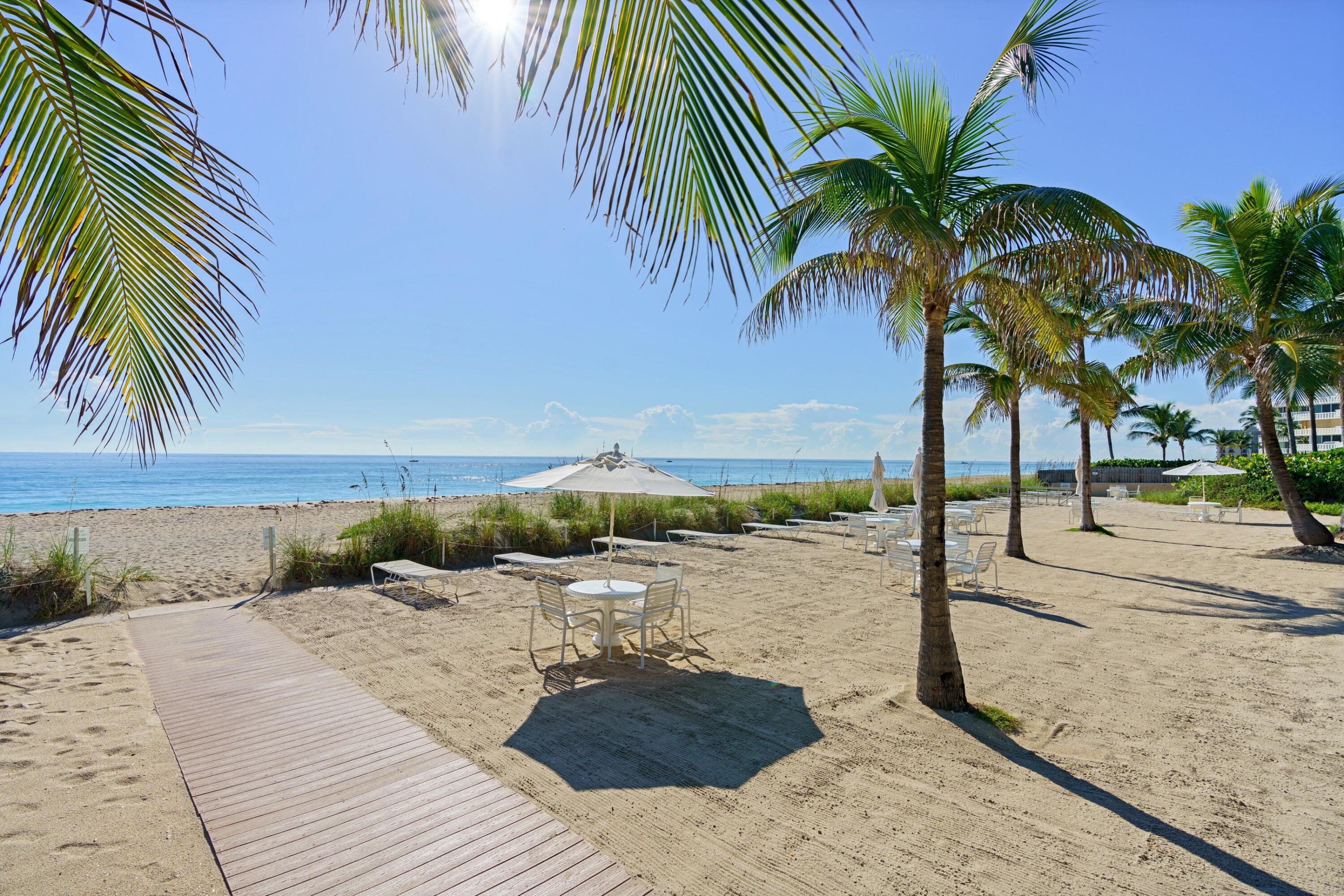 139 Sunrise Avenue 101