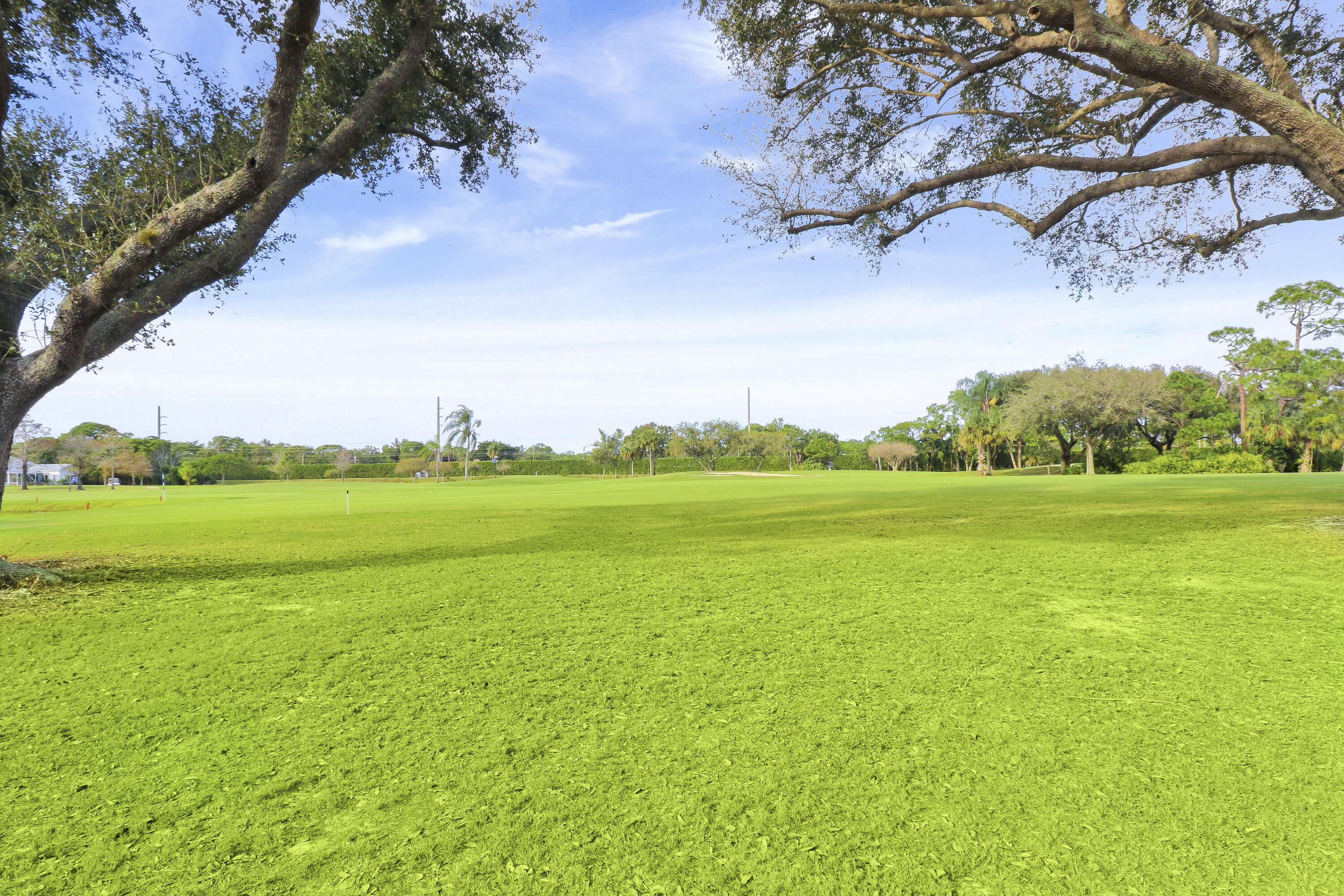 13768 Sand Crane Drive