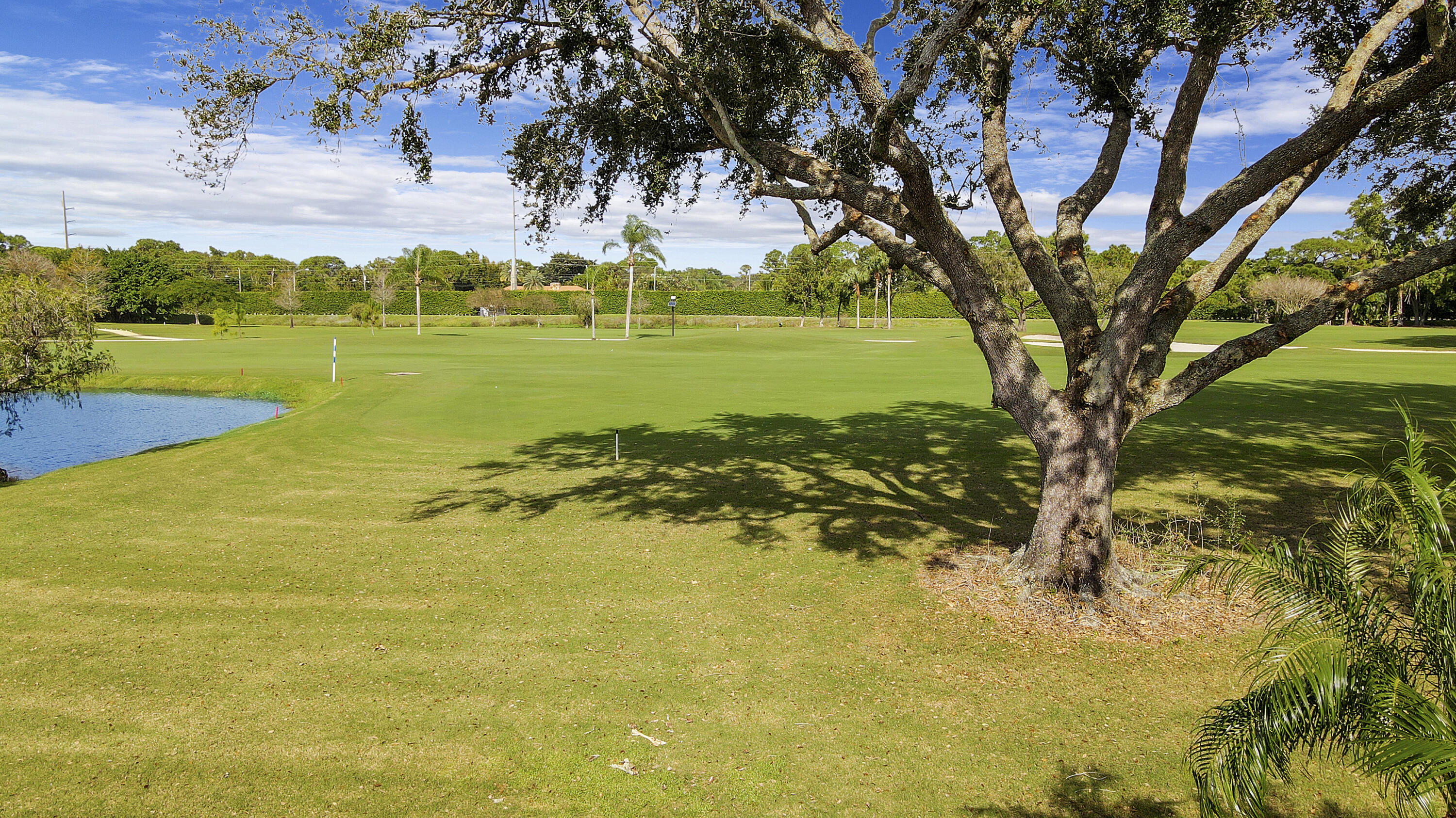 13768 Sand Crane Drive