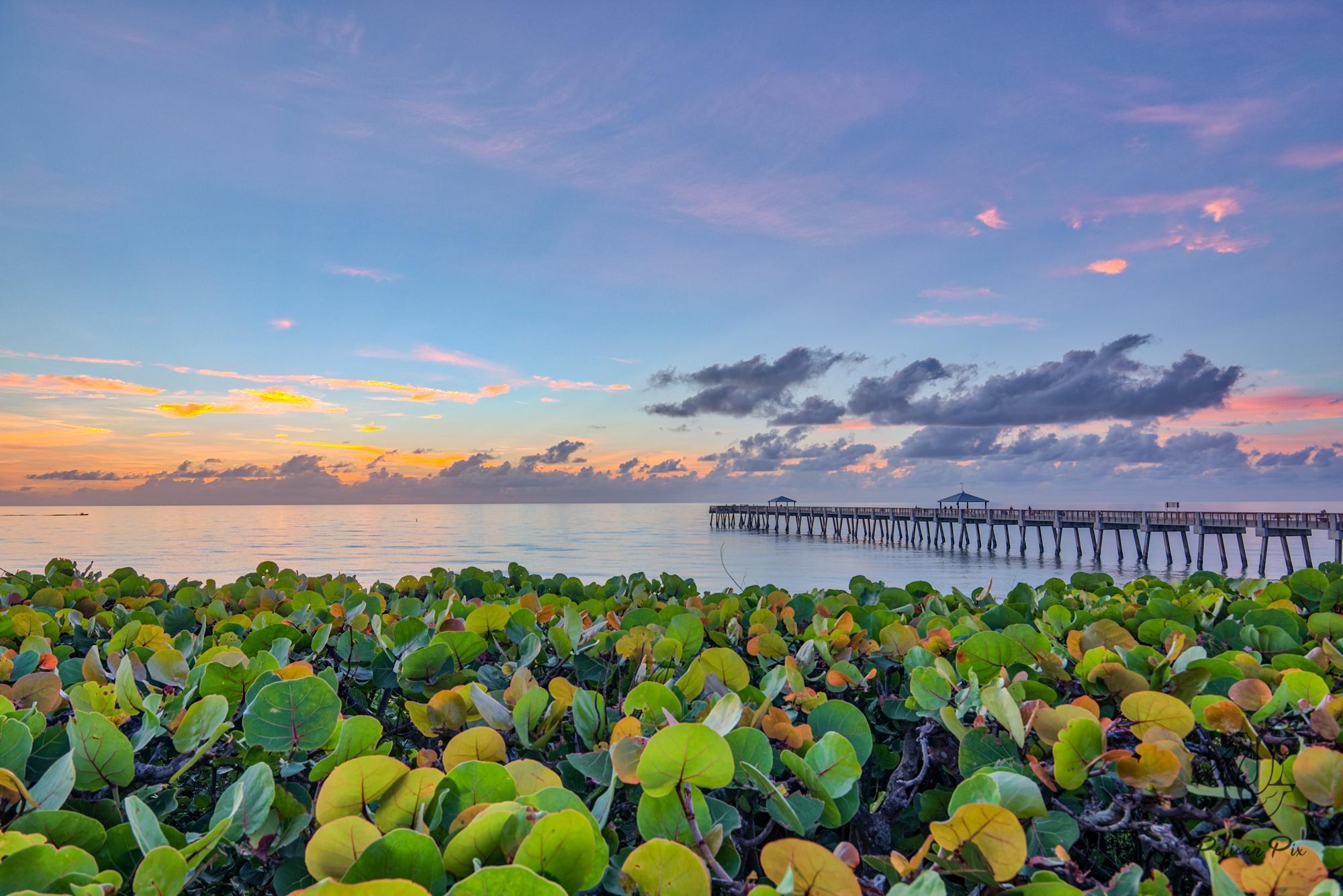 12147 Captains Landing