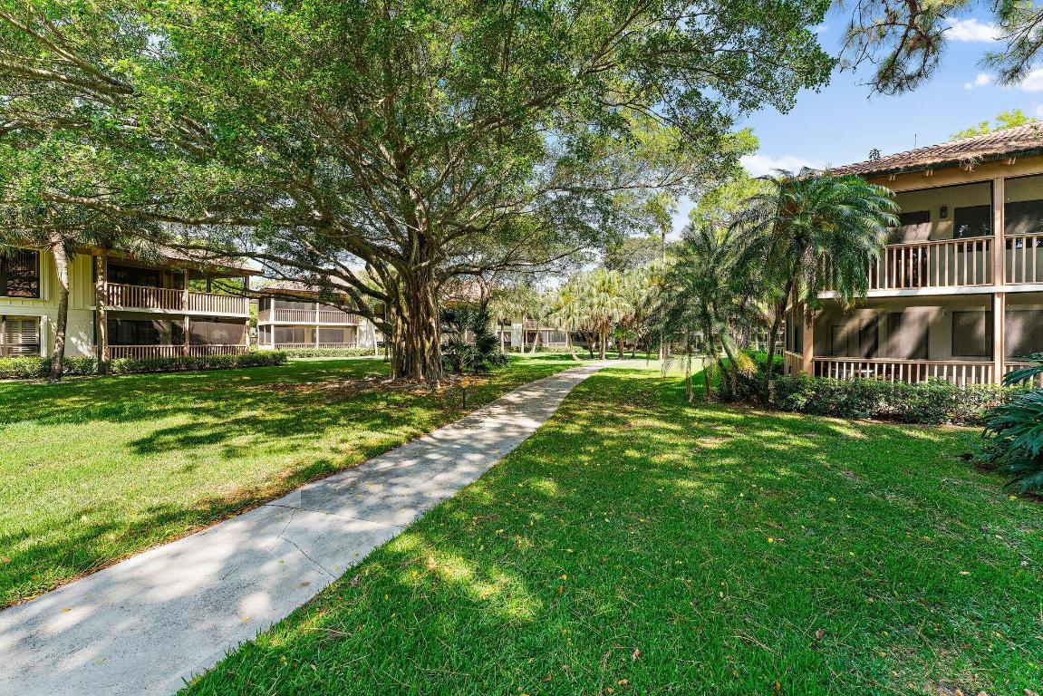 527 Brackenwood Place