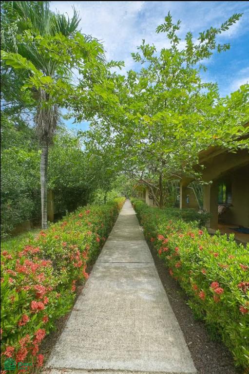 Condominium La Carolina 1, Cabo Velas, Guanacaste