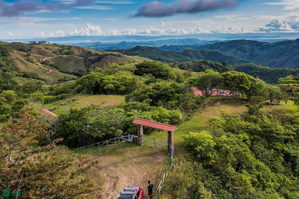 Calle Pedregal en San Luis , Monteverde