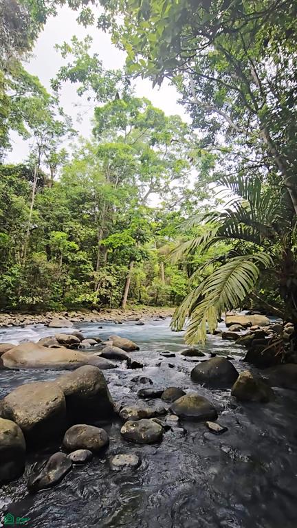 Rio Celeste Lot, Near Bijagua