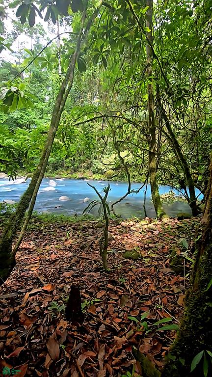 Rio Celeste Lot, Near Bijagua