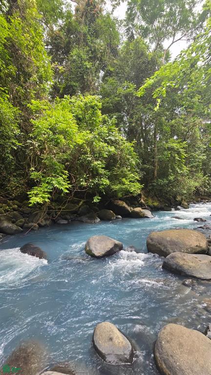 Rio Celeste Lot, Near Bijagua