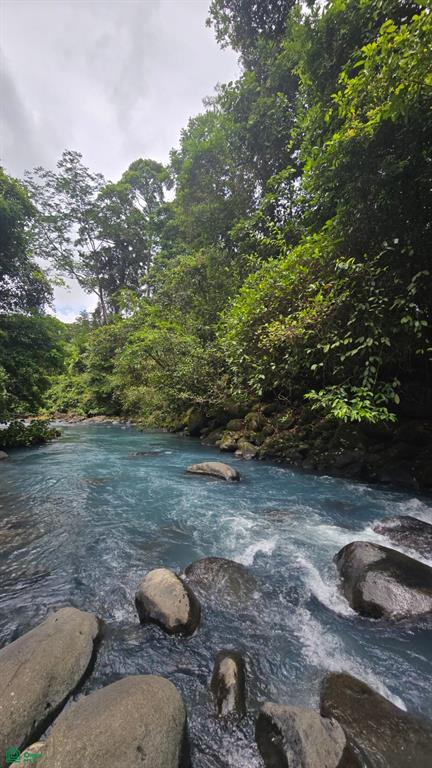Rio Celeste Lot, Near Bijagua