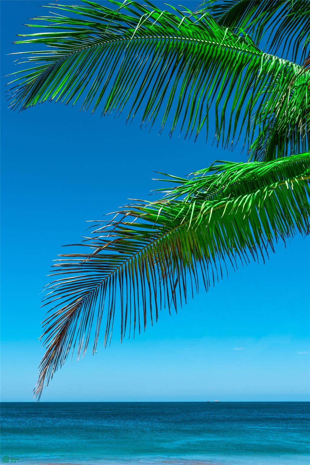 Villaggio 2 Near Playa Penca
