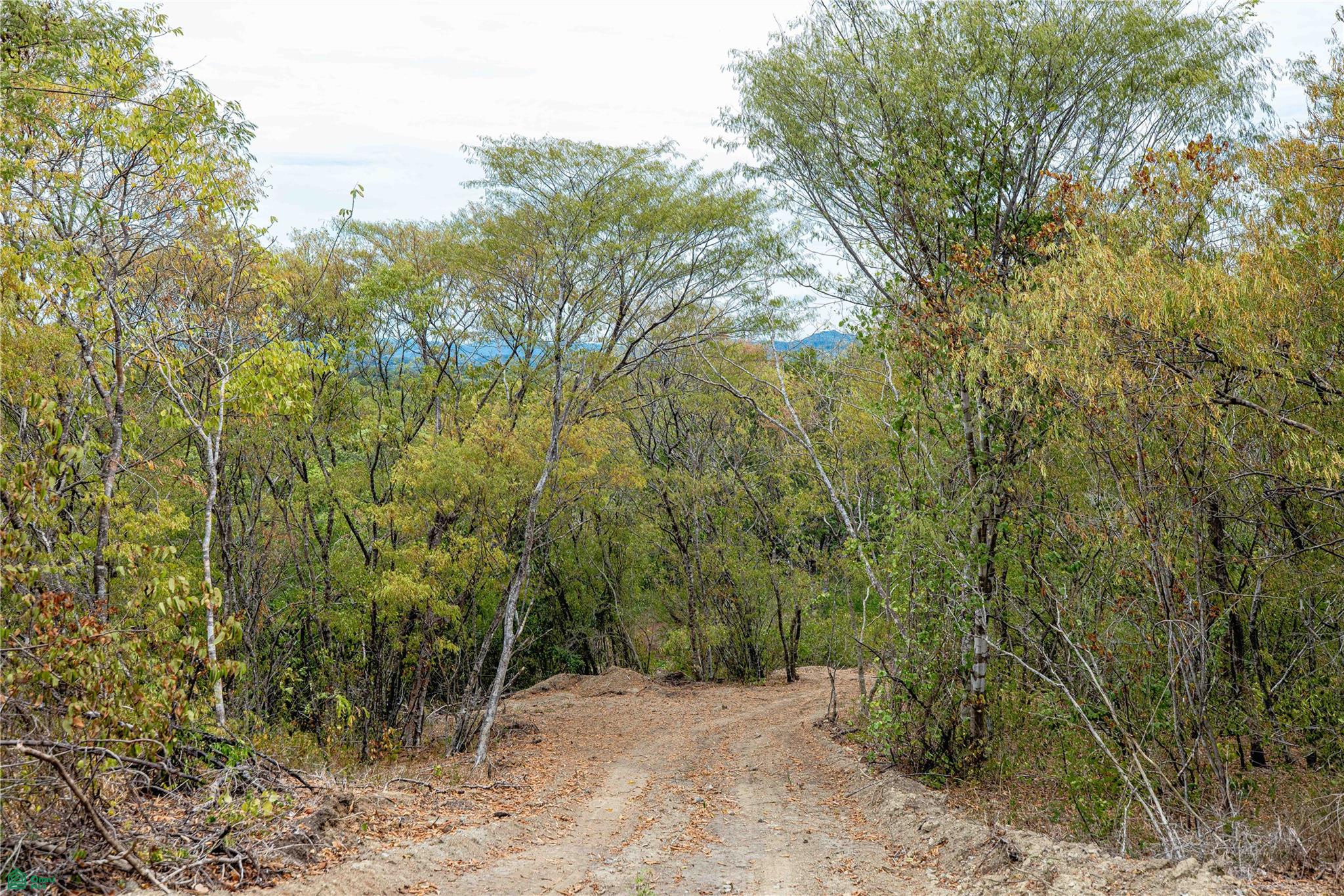 Tempate Horizons Lot, Guanacaste