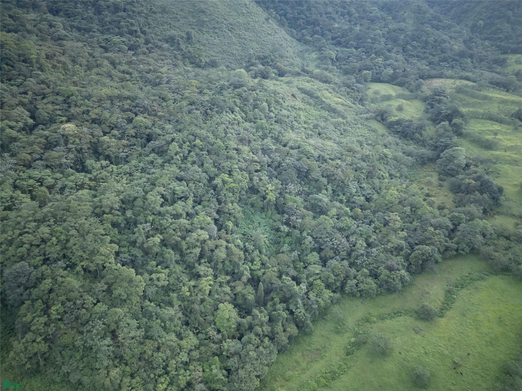 Guacalito, Bijagua
