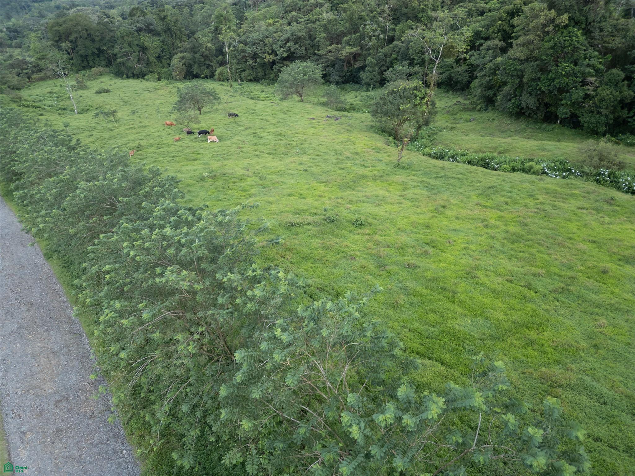Guacalito, Bijagua