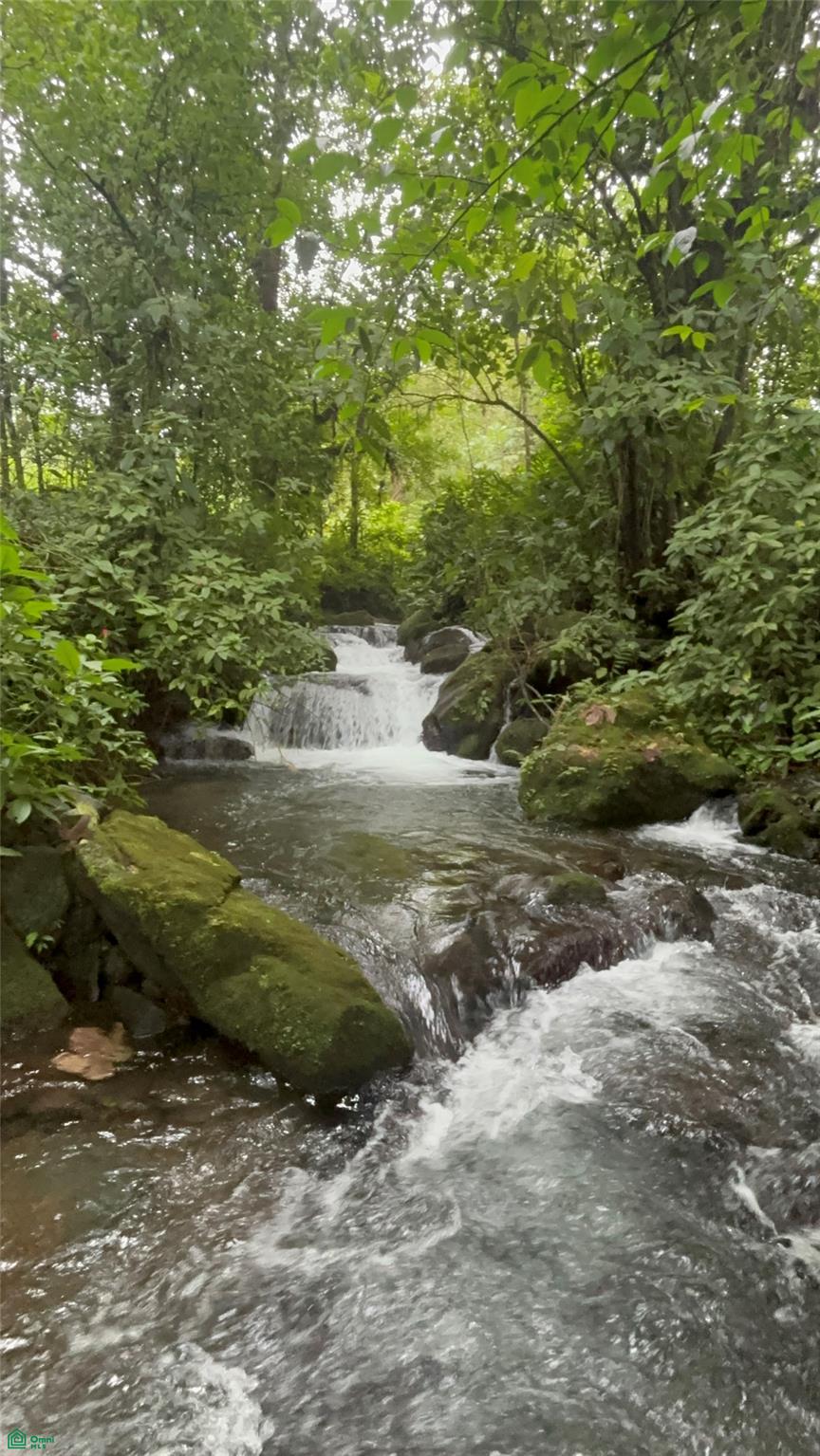 Guacalito, Bijagua