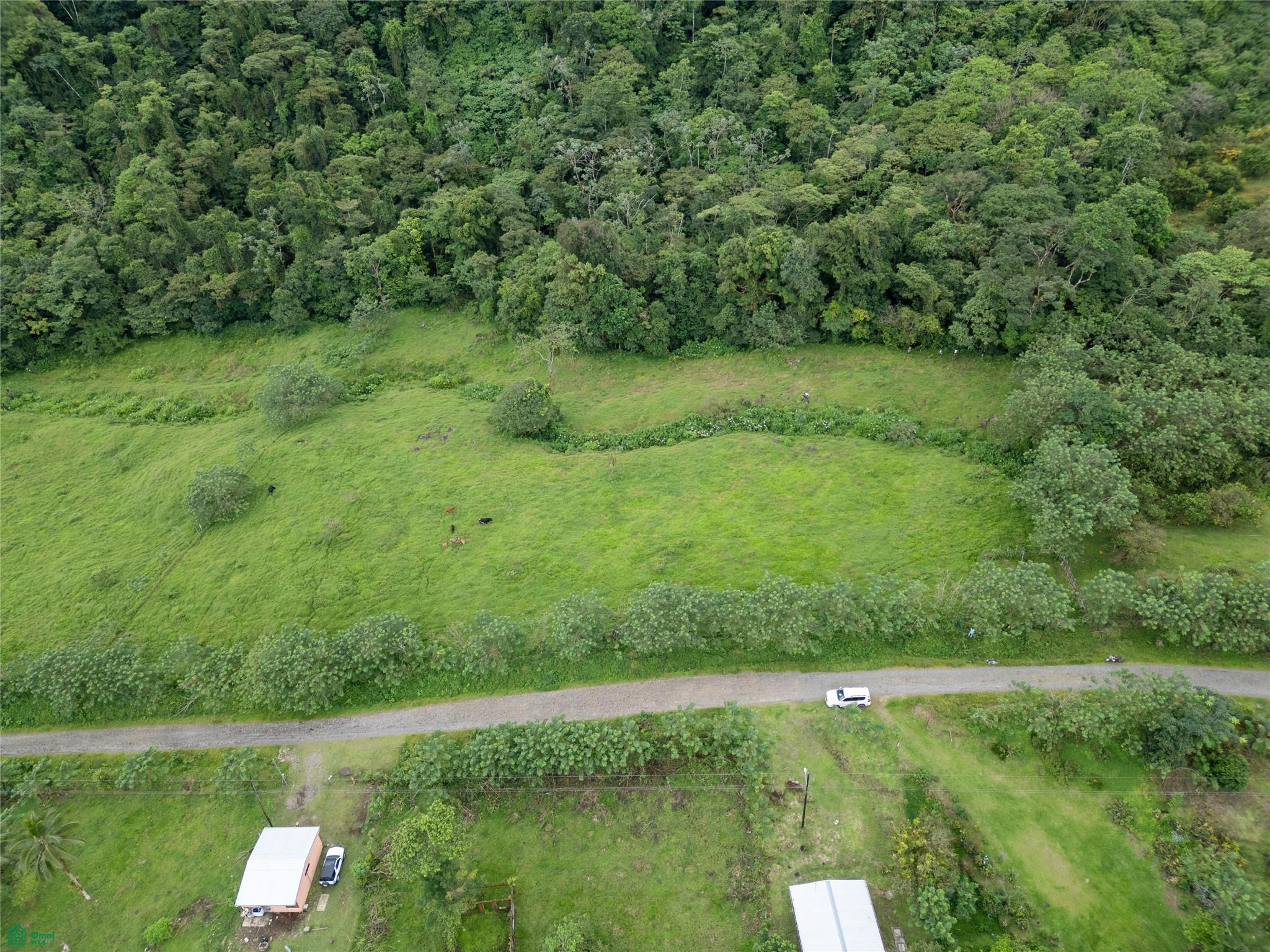 Guacalito, Bijagua