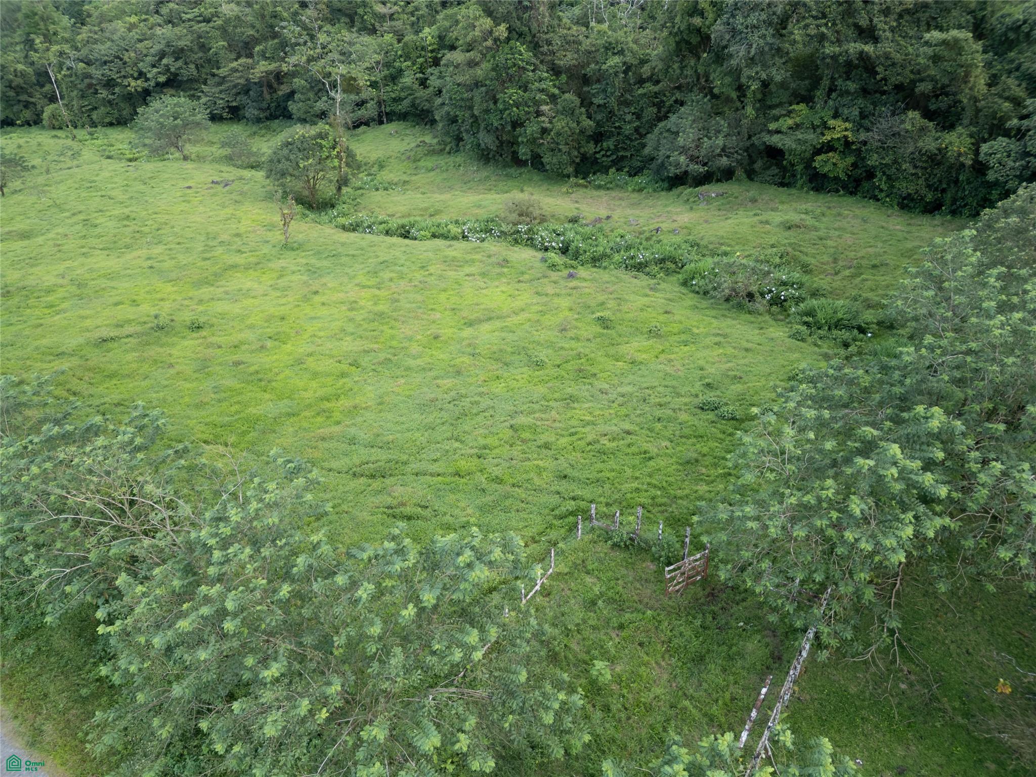 Guacalito, Bijagua