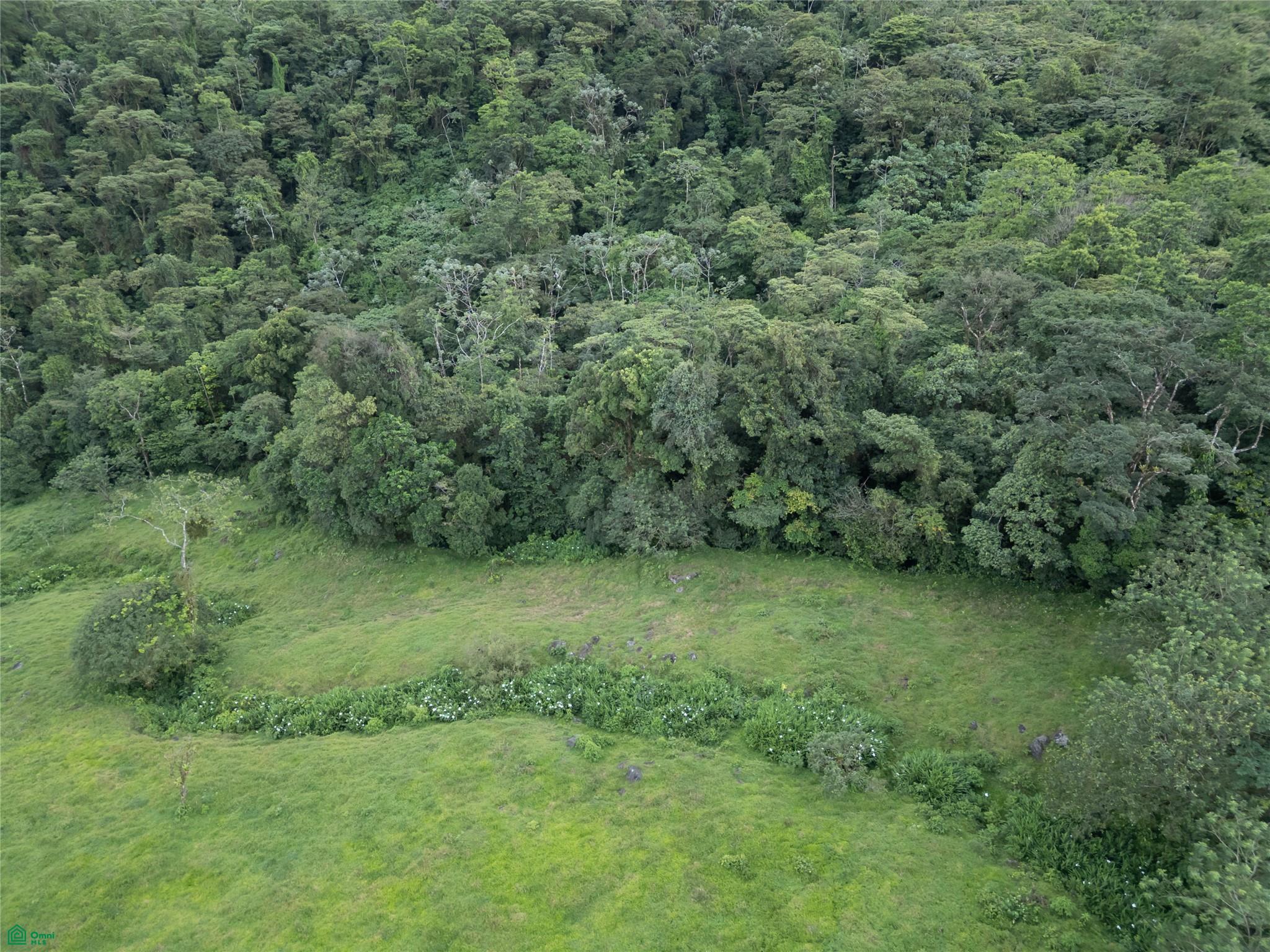 Guacalito, Bijagua