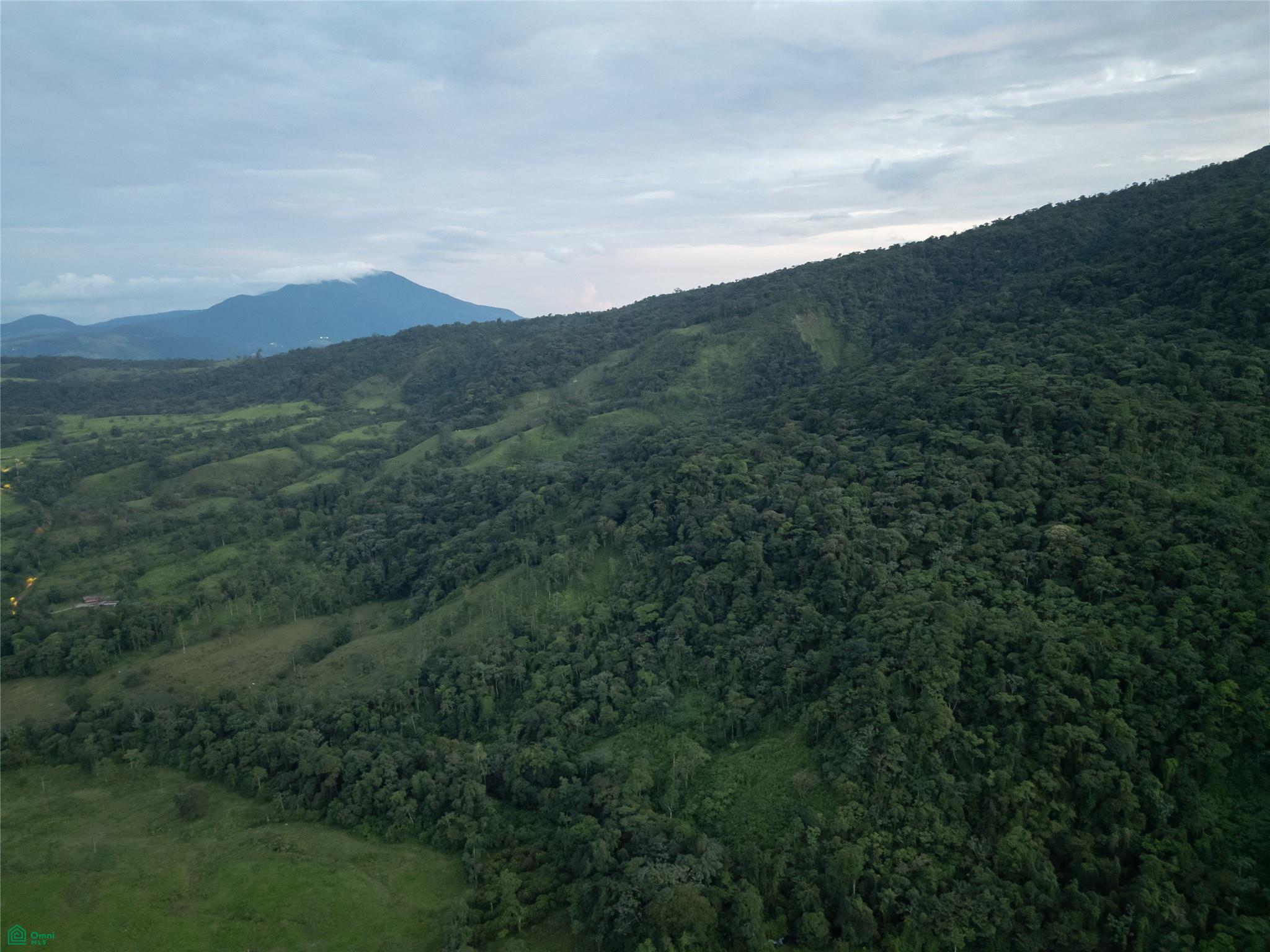 Guacalito, Bijagua