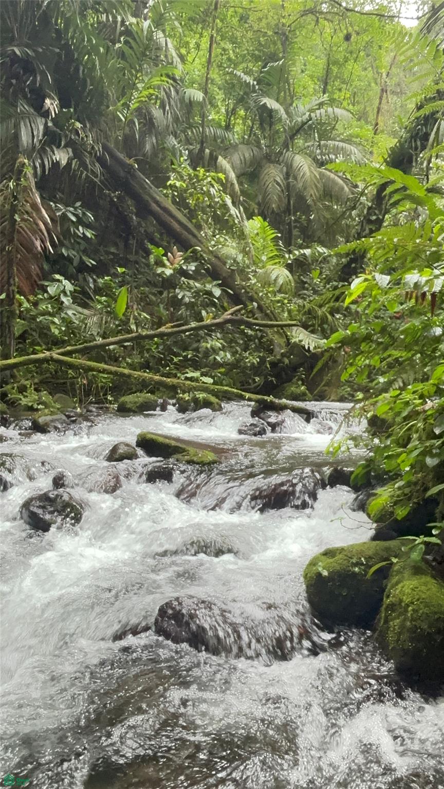 Guacalito, Bijagua