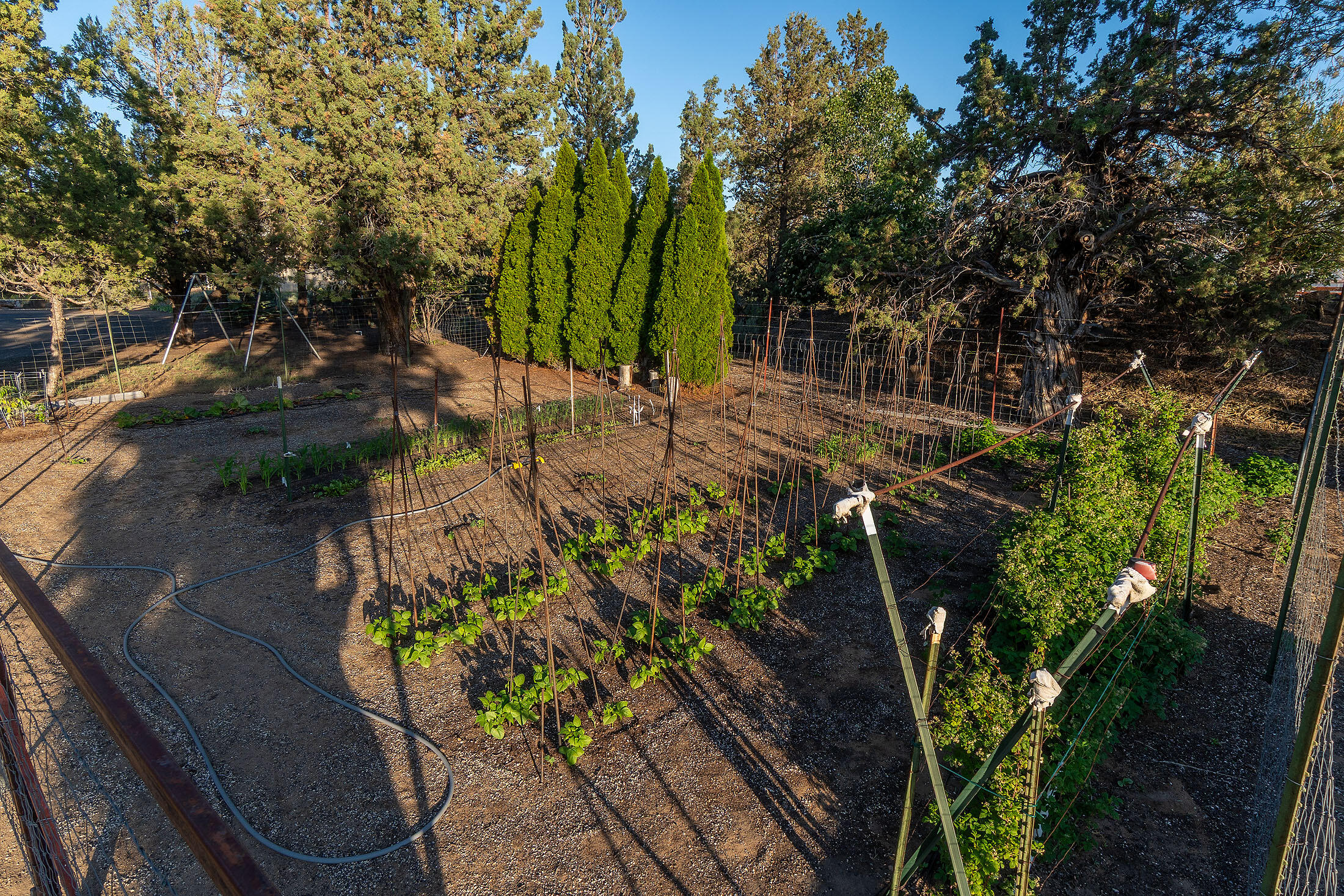 22835 Latigo Court