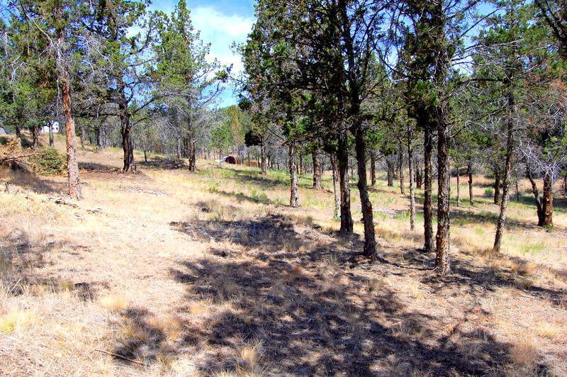 TL 700 NE Irvine Avenue