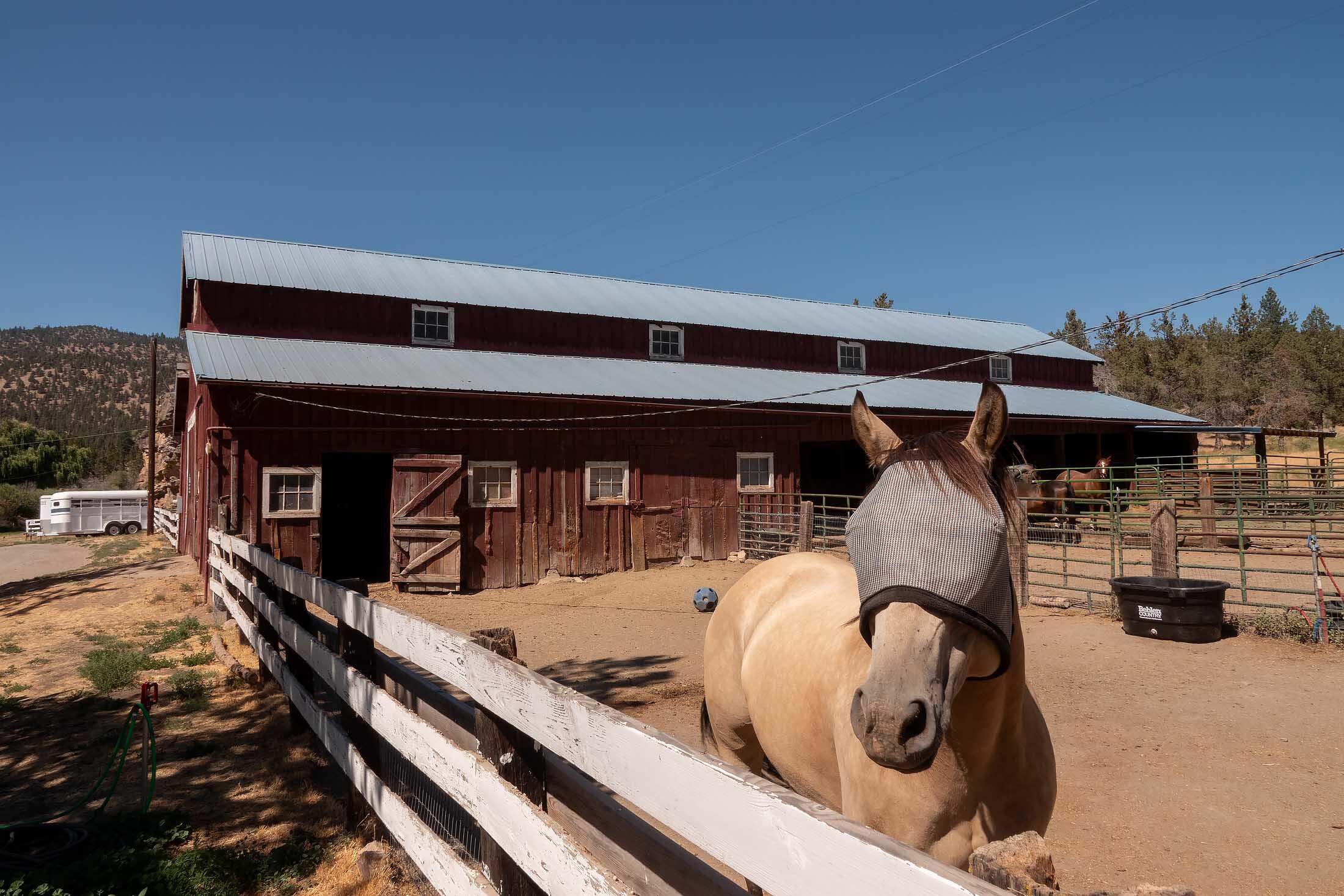 TL 700 NE Irvine Avenue