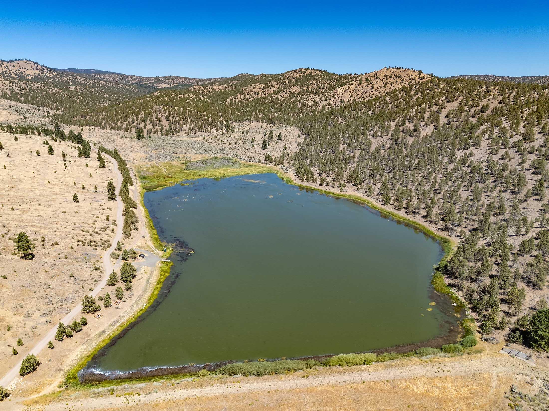 TL 700 NE Irvine Avenue