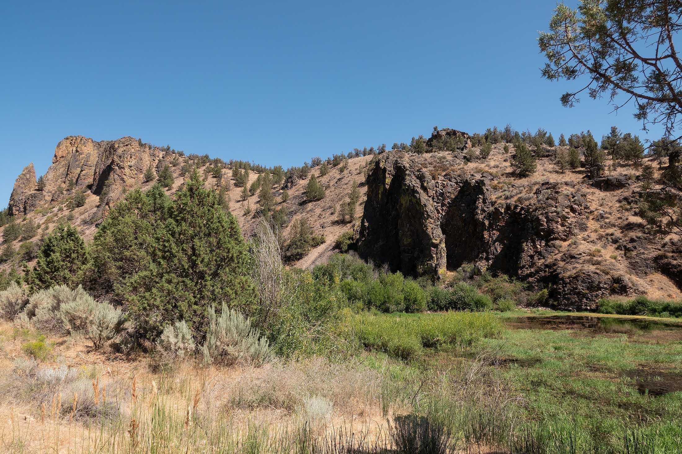 TL 700 NE Irvine Avenue