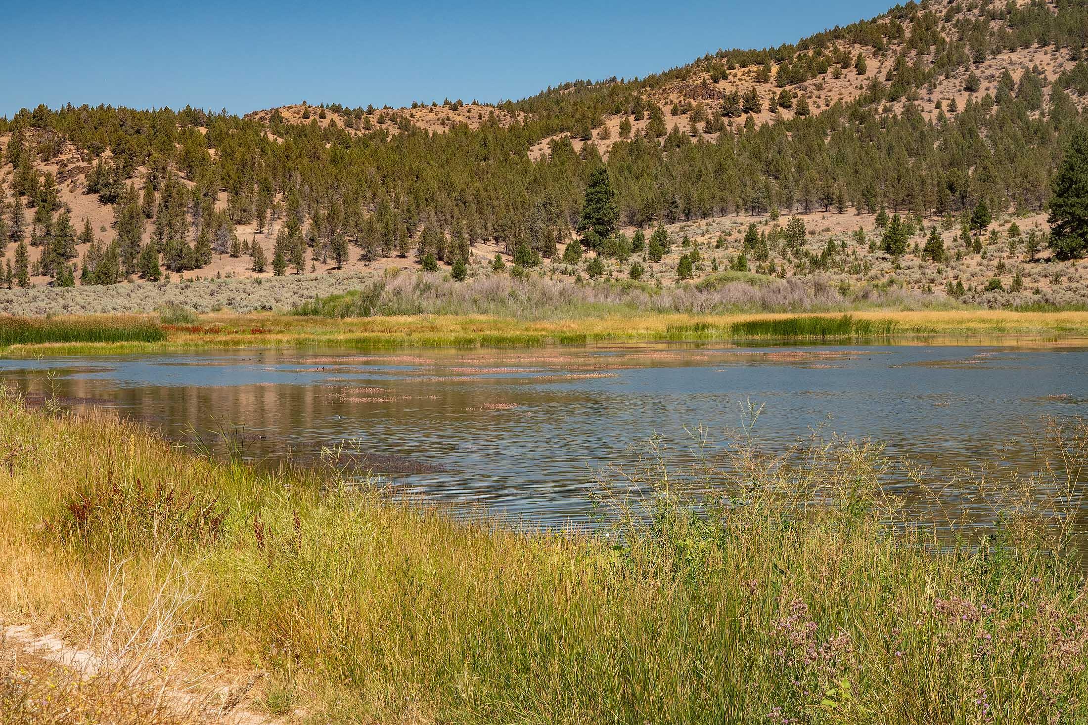 TL 700 NE Irvine Avenue