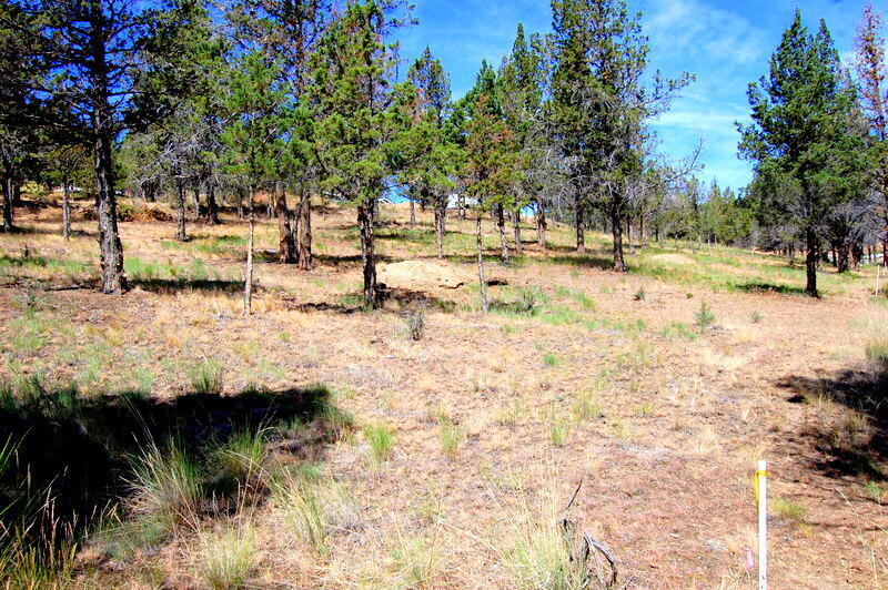 TL 700 NE Irvine Avenue