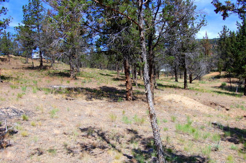 TL 700 NE Irvine Avenue