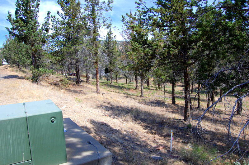 TL 700 NE Irvine Avenue