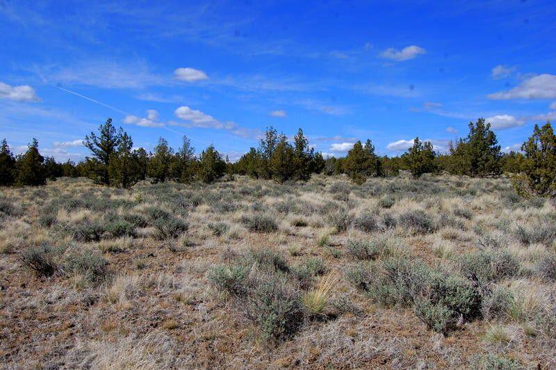 TL 1501 Bluebird Drive