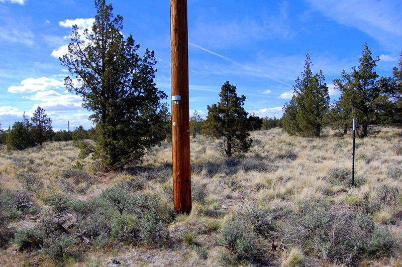 TL 1501 Bluebird Drive