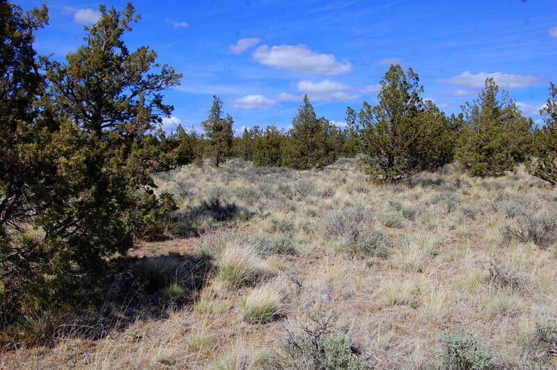 TL 1501 Bluebird Drive