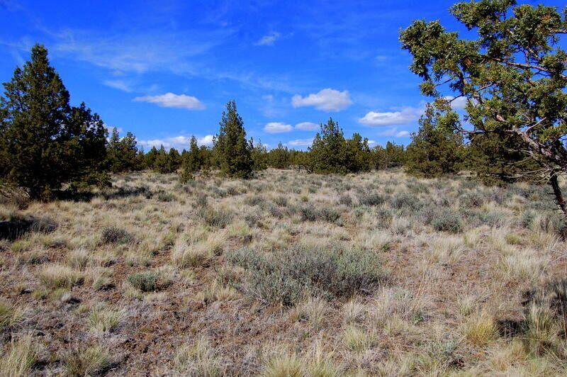 TL 1501 Bluebird Drive