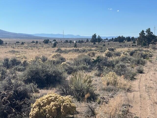 TL 1200 Millican Road