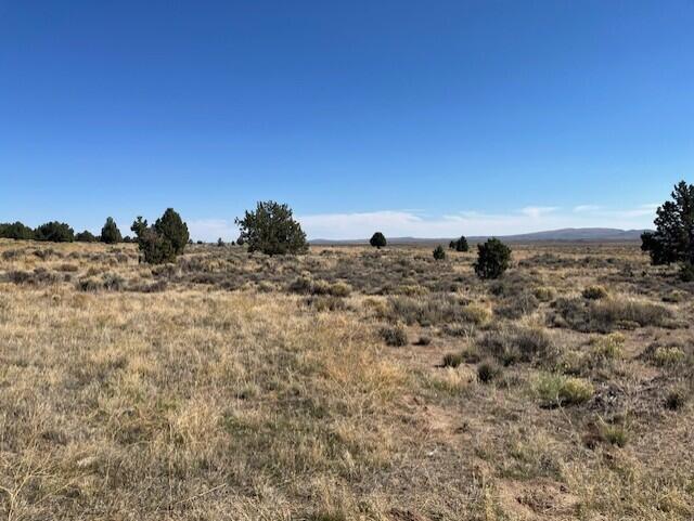 TL 1200 Millican Road