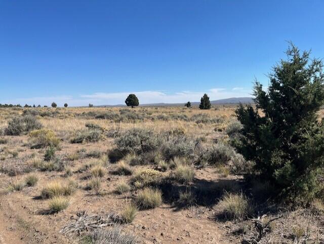 TL 1200 Millican Road