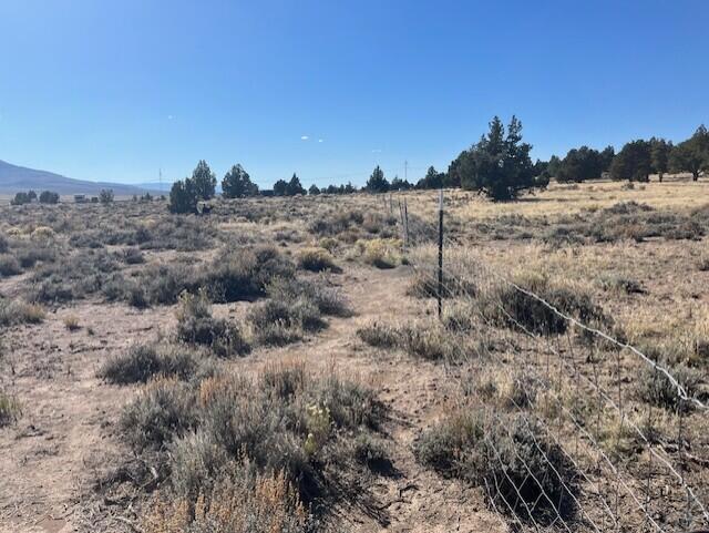 TL 1200 Millican Road