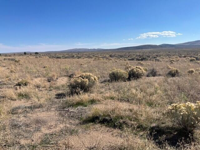 TL 1200 Millican Road