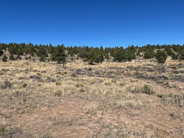 TL 1200 Millican Road