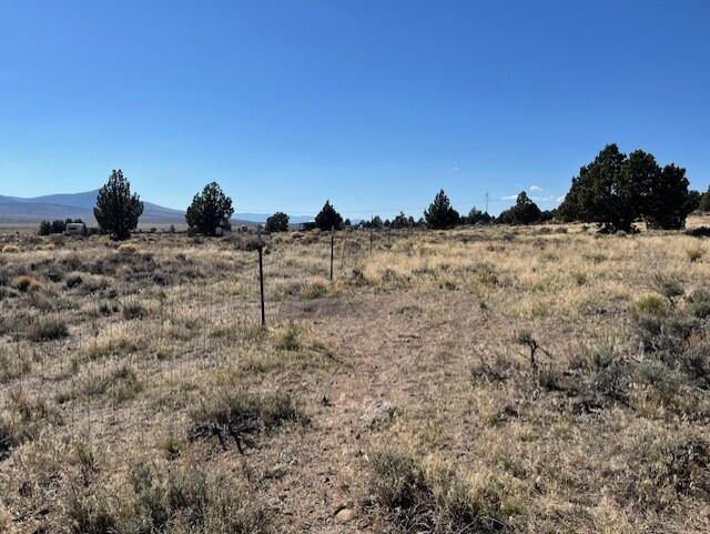 TL 1200 Millican Road