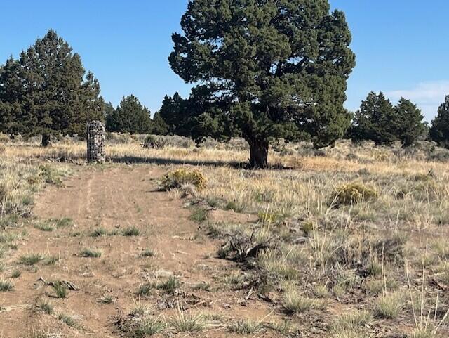 TL 1200 Millican Road