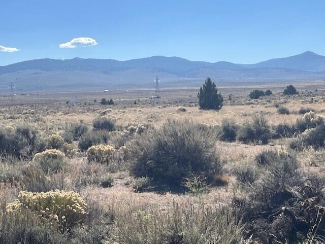 TL 1200 Millican Road