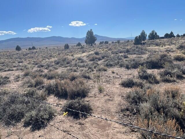 TL 1200 Millican Road